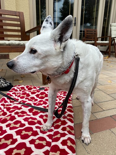 68755746323__B1815E7A-A0AD-4B93-ACC8-DCF7CC784DD8